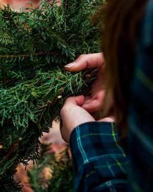 lee-campbell-Bn6Zncg-5U8-unsplash