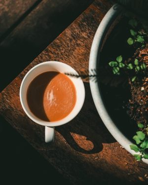 nong-vang-ERzsxOMcC7Q-unsplash